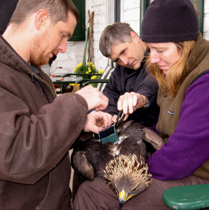 Mike Lanzone and Trish Miller make adjustments to the transmitter, with assistance from Steve Bonta