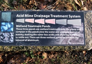 Plaque explaining the AMD treatment process