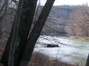 Blacklick Creek from the Ghost Town Trail