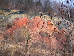 Coal waste along Blacklick Creek