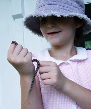 Elanor with milksnake