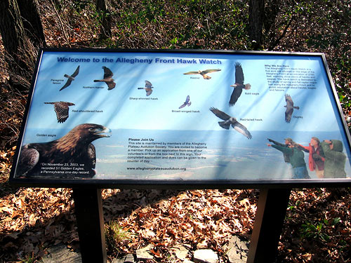 Raptor i.d. signboard at the Allegheny Front Hawk Watch