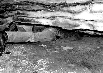 Cal Butchkoski often squeezes into tight places in search of Allegheny woodrats