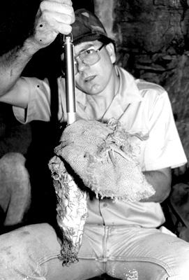 Cal Butchkoski weighs an Allegheny woodrat