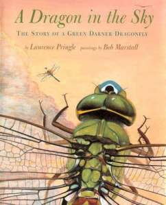 cover of A Dragon in the Sky by Laurence Pringle