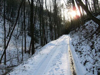 Our north-facing access road on January 28, 2008 (Photo by Dave Bonta on Flickr)
