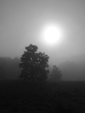 The morning sun through the fog over the First Field 