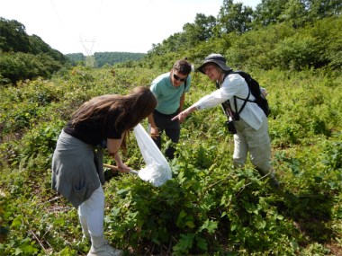 Marcia and Elanor on the right-of-way in SGL 33