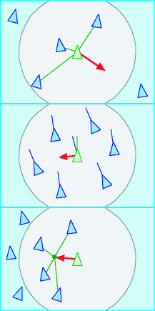 Craig Reynolds’ diagram of the computer model of “Boids” flocking behavior, which he describes as following three steering behaviors: top to bottom, separation (steering to avoid crowding), alignment (steering with the average direction of the flock) and cohesion (steering toward the average positions of other birds in the flock). The Wikipedia states that since these images are simple geometry, they are in the public domain.
