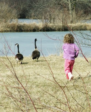 My granddaughter Elanor Bonta in waterfowl mode at Canoe Creek State Park 