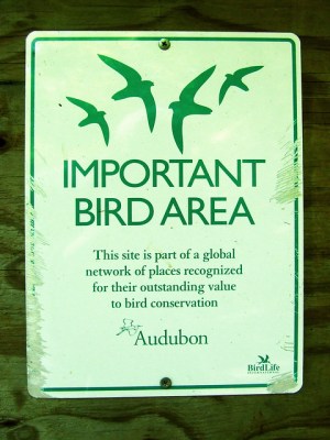 The Important Bird Area sign at the entrance to the hollow, chewed by a porcupine 