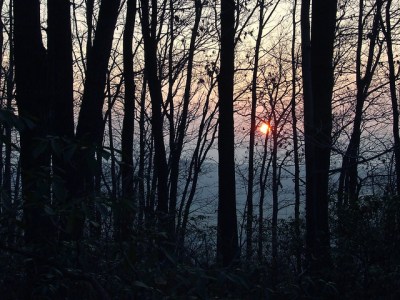 The steep slopes of Laurel Ridge