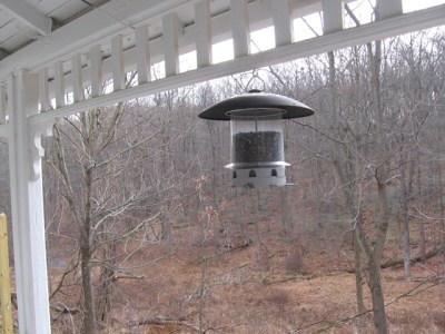 A relatively squirrel-proof bird feeder hangs on our back porch (Photo by Bruce Bonta)