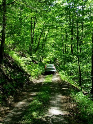 A vehicle coming up the Plummer’s Hollow Road (Photo by Dave Bonta on Flickr)