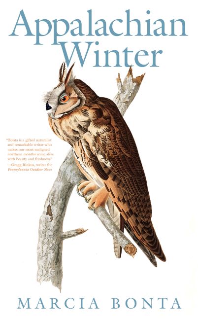 Appalachian Winter cover